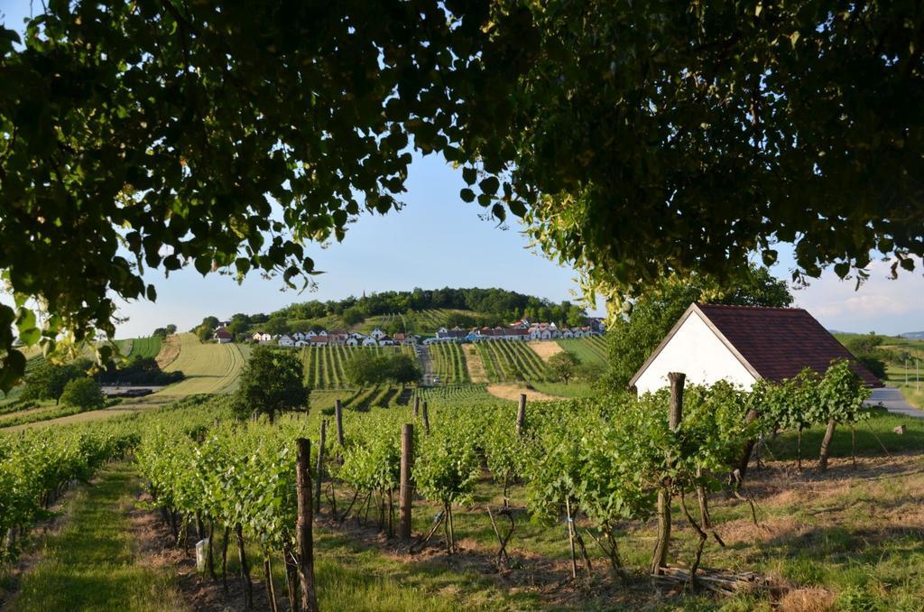 Ferienwohnung Herrmann Pottenhofen Exterior foto